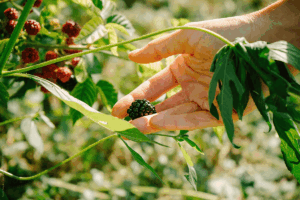 Shanghái inaugura el primer centro de entrenamiento de robots humanoides.