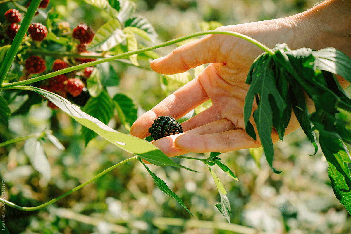 Shanghái inaugura el primer centro de entrenamiento de robots humanoides.