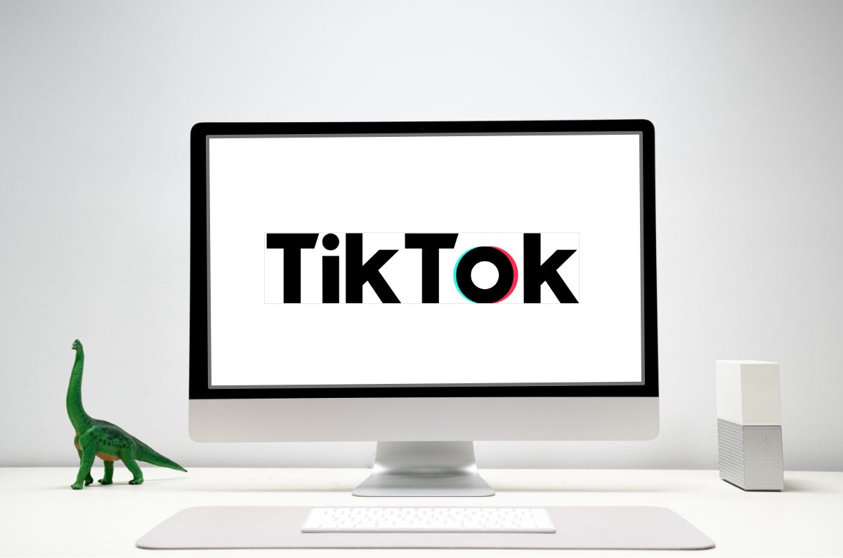 Descubre el perfil de audiencia de TikTok y analiza si tu empresa debe estar en este canal