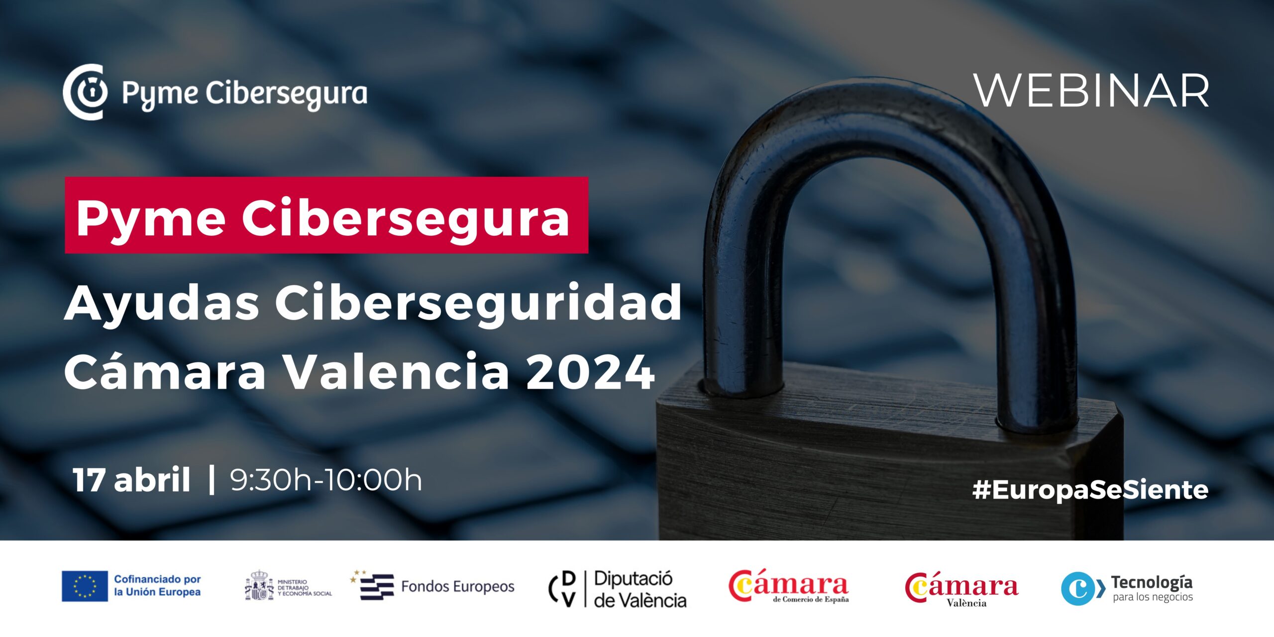 Pyme Cibersegura 2024: Protege tu empresa online