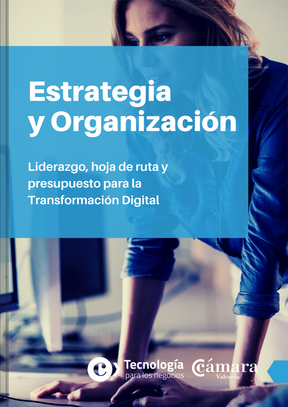 Estrategia y Organización