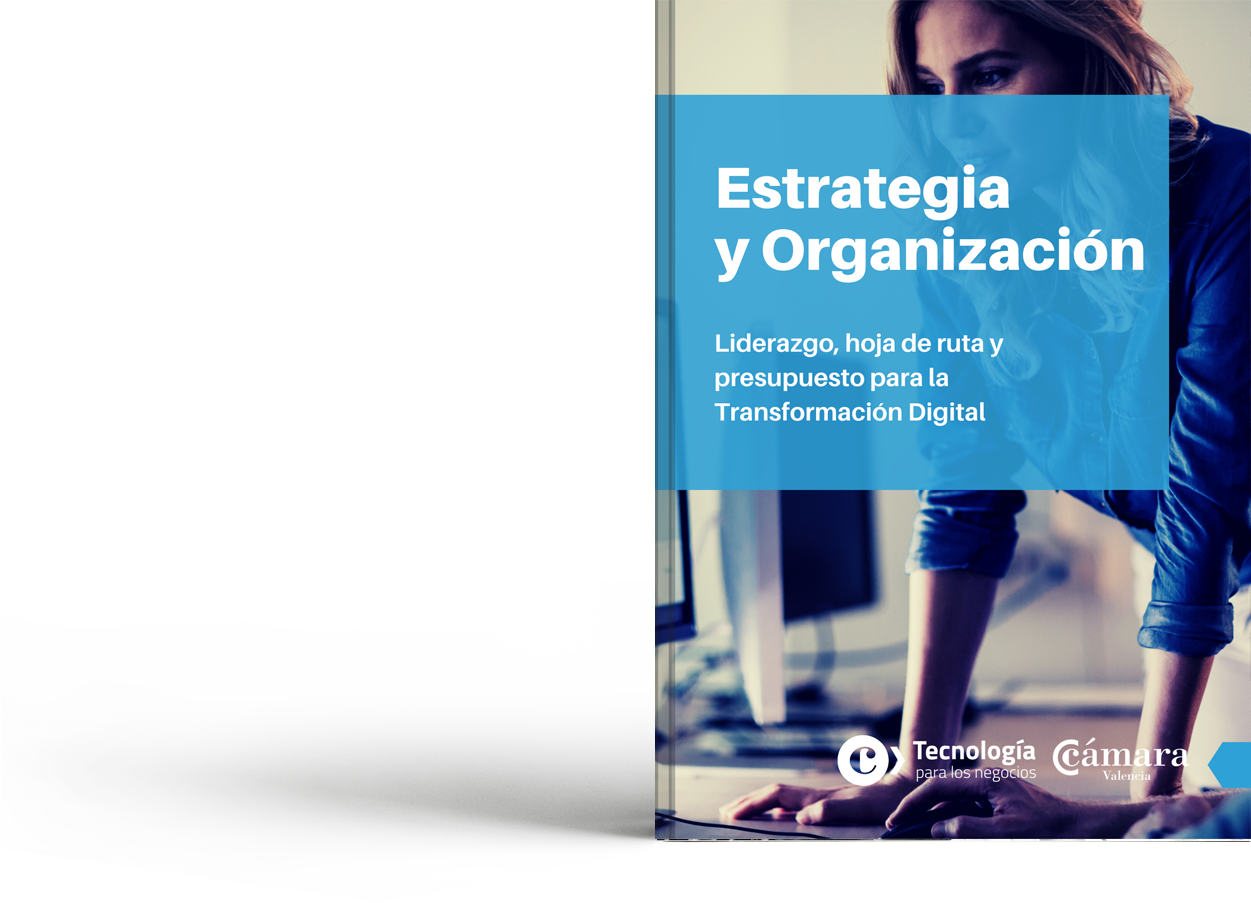 Estrategia y Organización