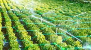 Idrica desarrolla el primer dispositivo 5G para el sector del agua