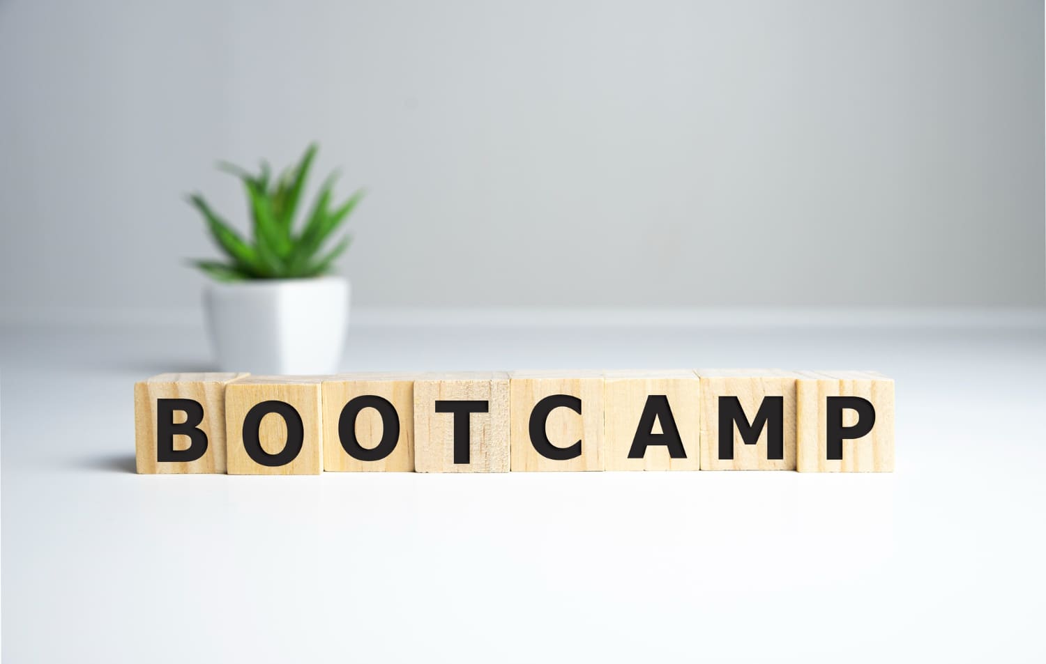 Formación digital para empresas: los bootcamps prometen capacitaciones integrales en 14 semanas