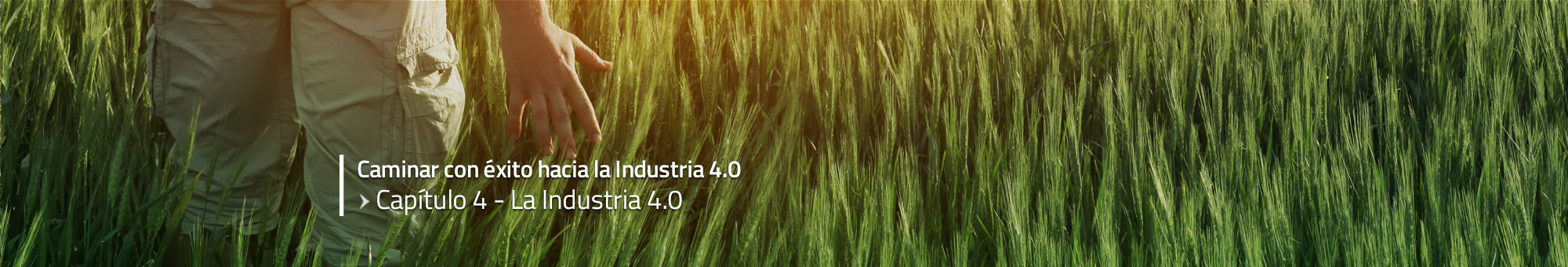 Caminar con éxito hacia la Industria 4.0: Capítulo 4 – La Industria 4.0