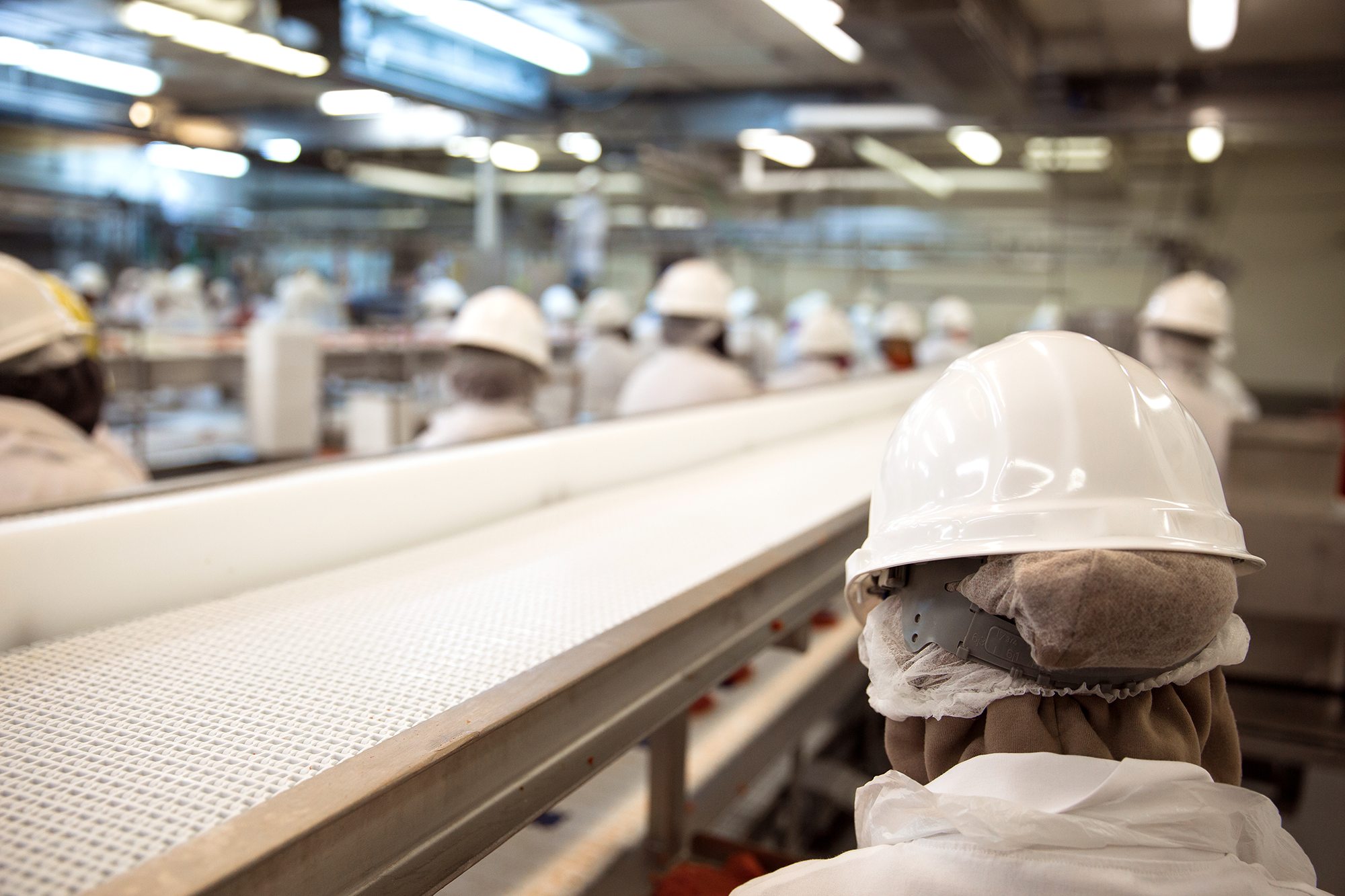 Cambio tecnológico: influencia en desempleo y políticas públicas imprescindibles