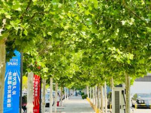 Stellantis y Leapmotor anuncian planes para las plantas de Zaragoza y Madrid - AutoRevista