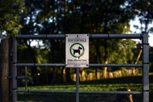 Stoke Space recauda $1,000 millones en una Serie E para el cohete Nova. - es.qz.com